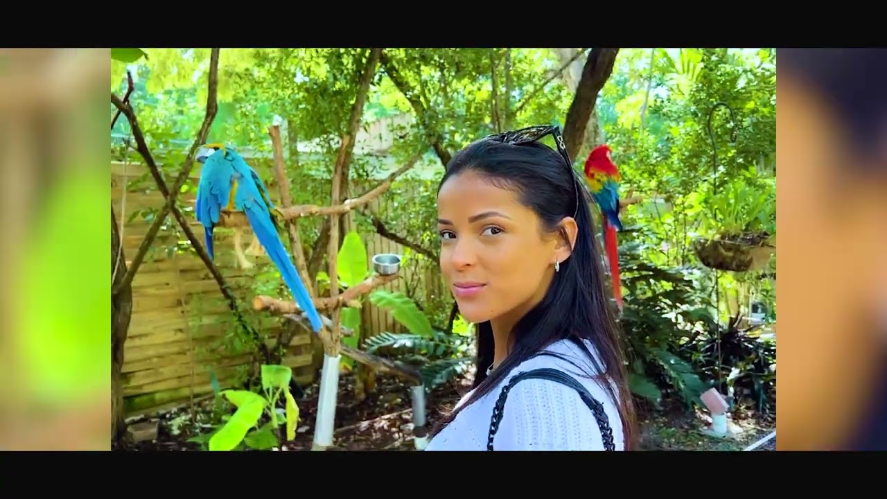 Swimming with Dolphins in the Keys, FL - Theater of the Sea