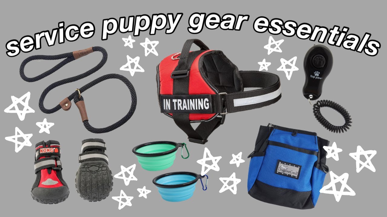 SERVICE PUPPY GEAR ESSENTIALS! :)