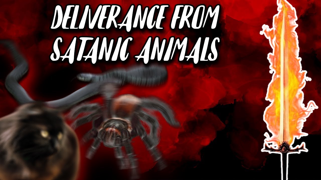 Deliverance From Satanic Animals Of Witchcraft!