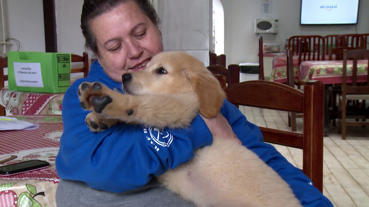 Minuto Fase - Terapia Assistida por Animais
