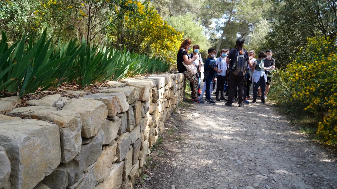 Dispositif nature initié par la Ville de Nîmes : les CM2 dehors !