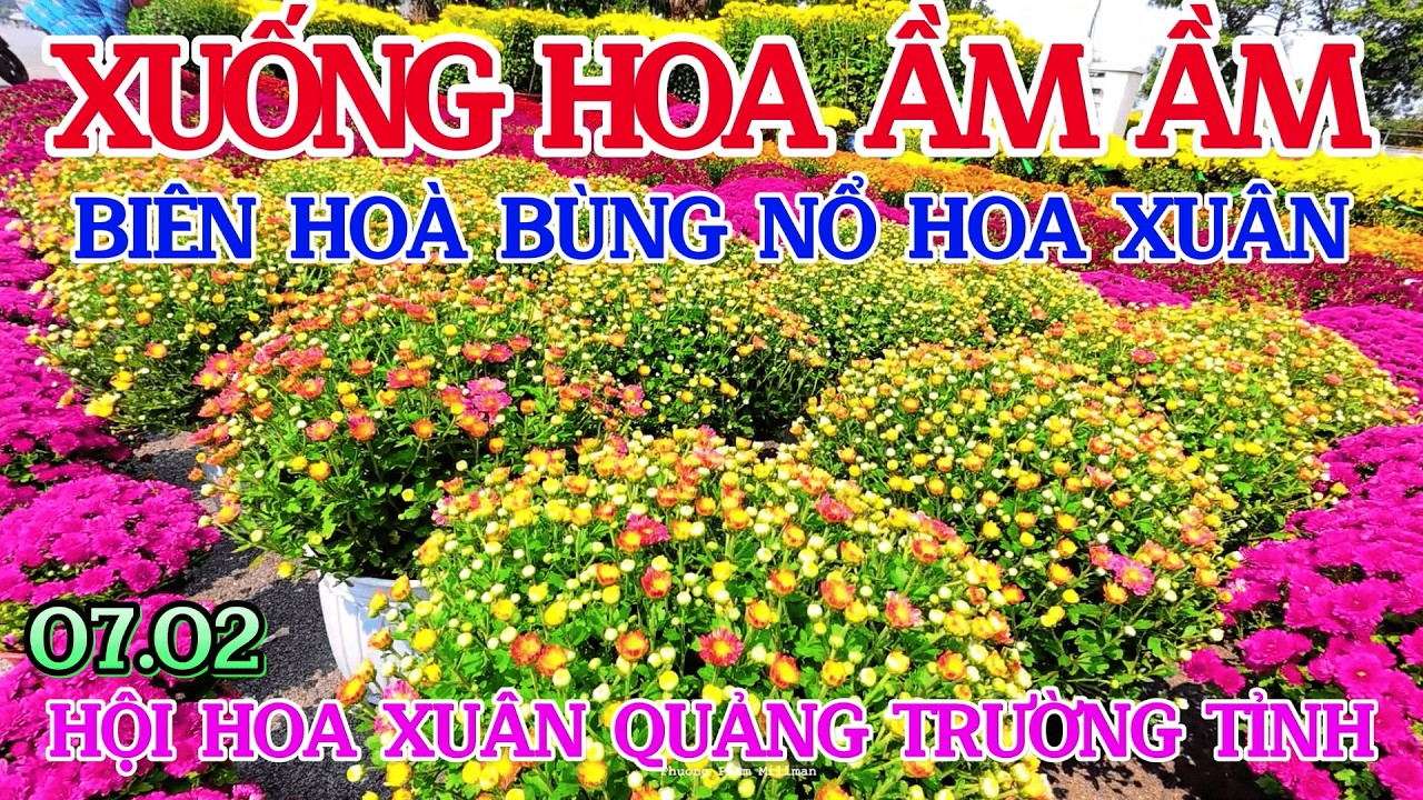 BÙNG NỔ HỘI CHỢ HOA TẾT 07.02 QUẢNG TRƯỜNG TỈNH ĐÔNG NAI XUỐNG HOA ẤM ẦM QUÁ SỨC THÍCH
