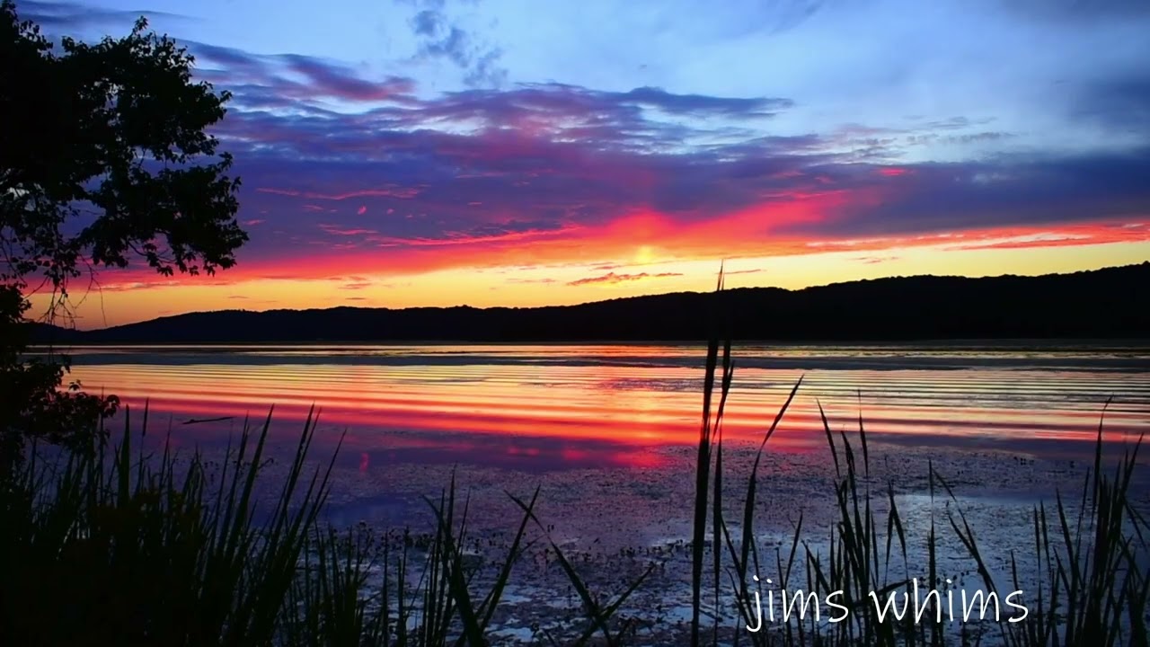 Sunset Tales: Lovely Afterglow Brings Creatures Out