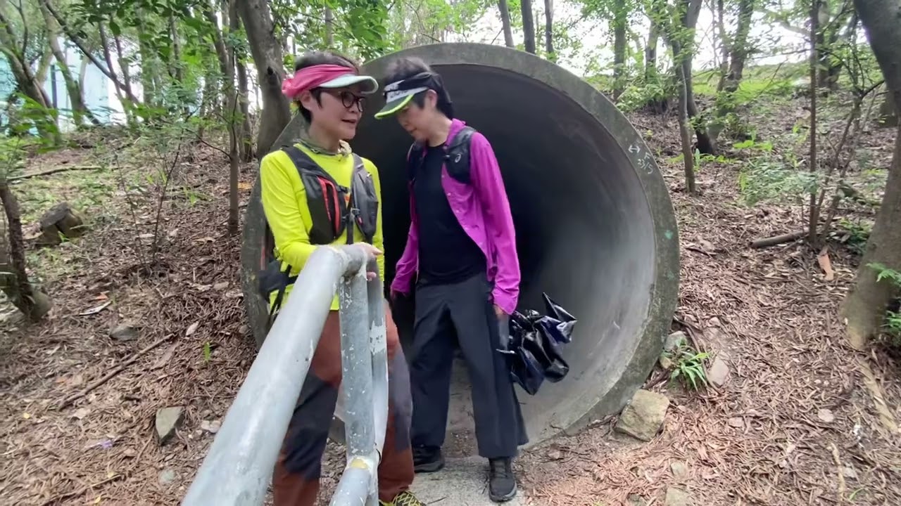 山中人：深井-深井東村-深井肥標-斜水坡-青朗公路-大欖隧道出入口-動物通道-風門坳-大樹山峒-風門坳-深井