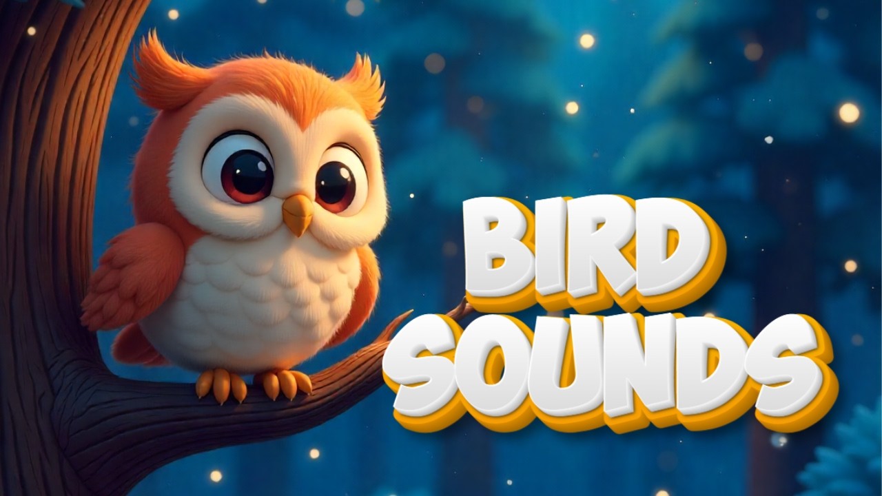 My Mouse TV - What does a bird says, Sound of bird, rhyme for kids