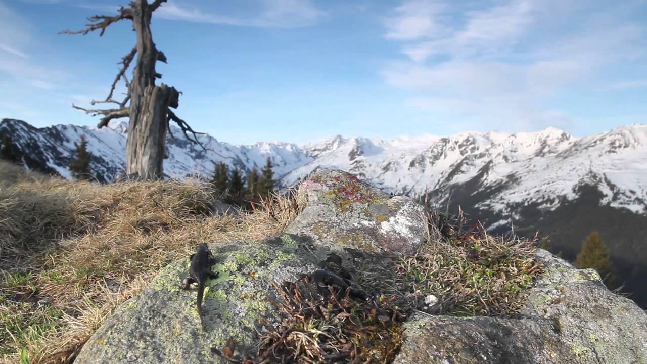 Landschaft &Ouml;sterreich &ndash; Wunderwelt Tiroler Alpen ☀ | Austrian landscape - Tyrol