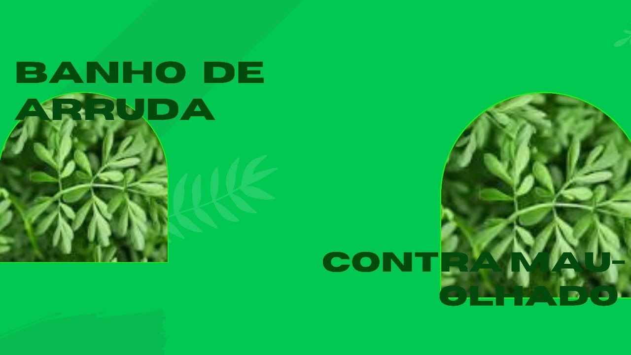 Banho de Arruda para quebrar mau-olhado, inveja, energia negativa e trazer sorte para voc&ecirc;