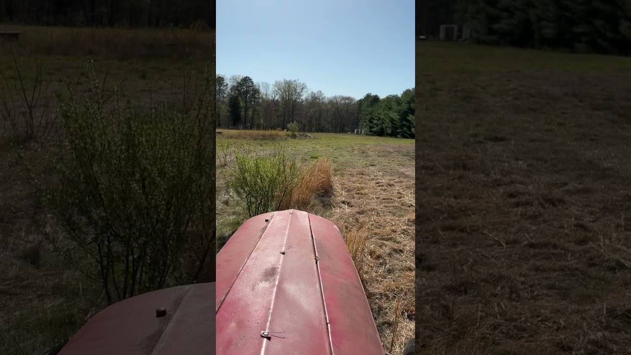 1957 Ferguson TO35 mowing thick brush with a bush hog