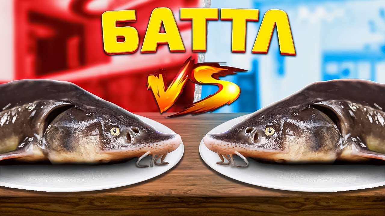 МЕГА БАТТЛ / ОСЕТР