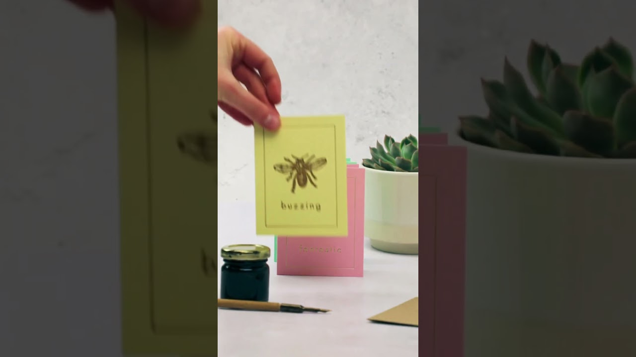 Our CuriOsity Card Collection