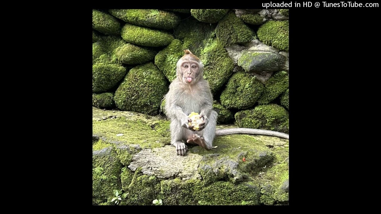 free diamond type beat 200126