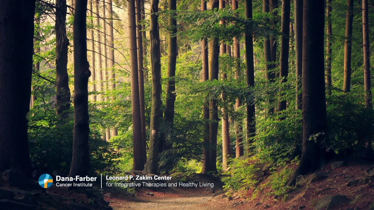 Walking Meditation | Dana-Farber Zakim Center Remote Programming