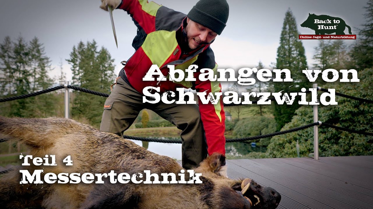 Abfangen von Schwarzwild | Teil 4: Messertechnik
