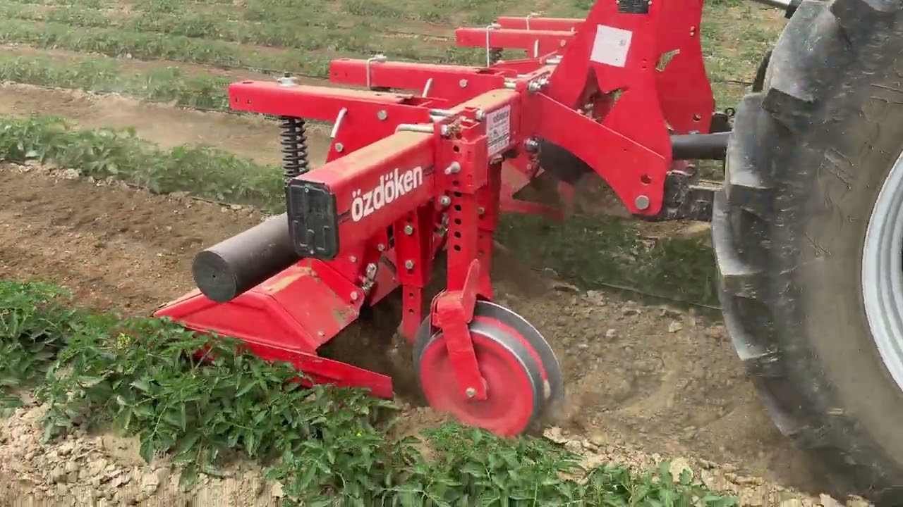Domates ara çapasını büyük çiftçiler böyle yapıyor