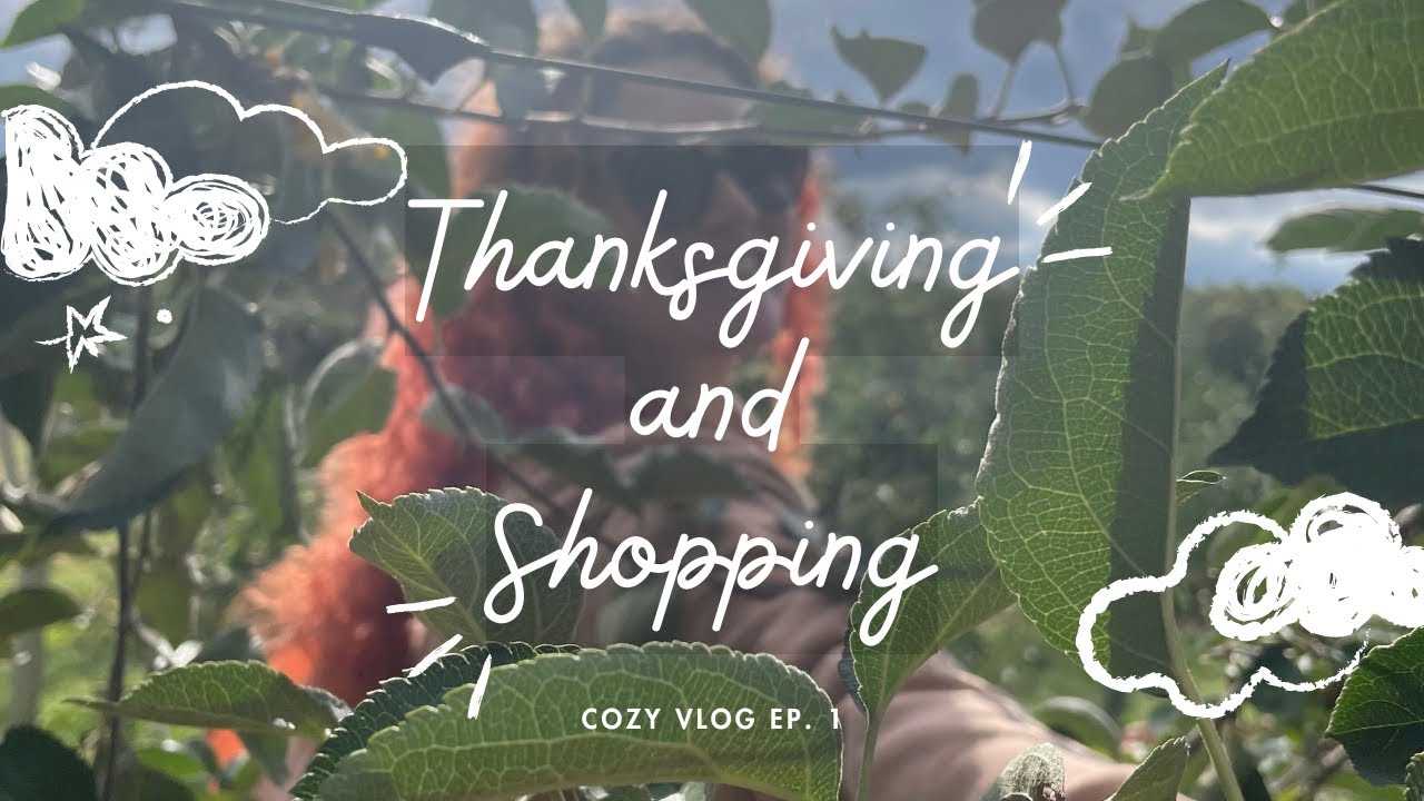 Cozy Vlog 1: Thanksgiving and Shopping🛍️