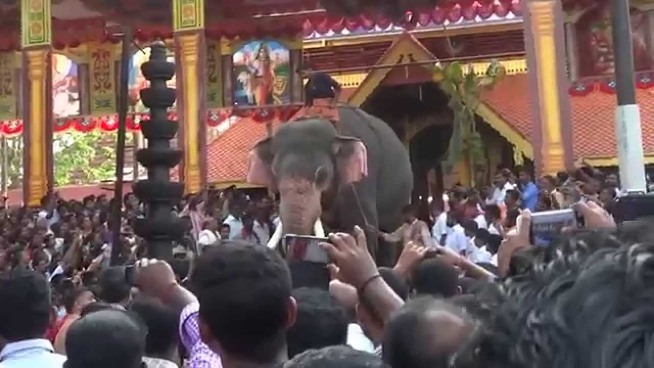 Thirunakkara Pakal Pooram - 2014