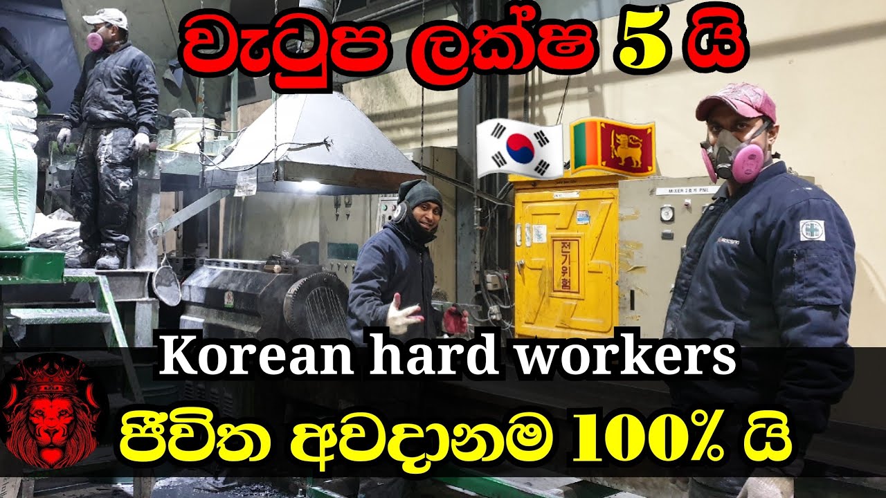 Korean hard workers (වැටුප ලක්ෂ 5 යි.. ජීවිත අවදානම 100% යි..  කොරියාවේ කෙමිකල් නිෂ්පාදන )
