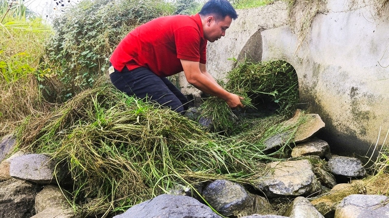 Action Remove Debris Flow Clogged Culvert Drain To Farm On Dry Season