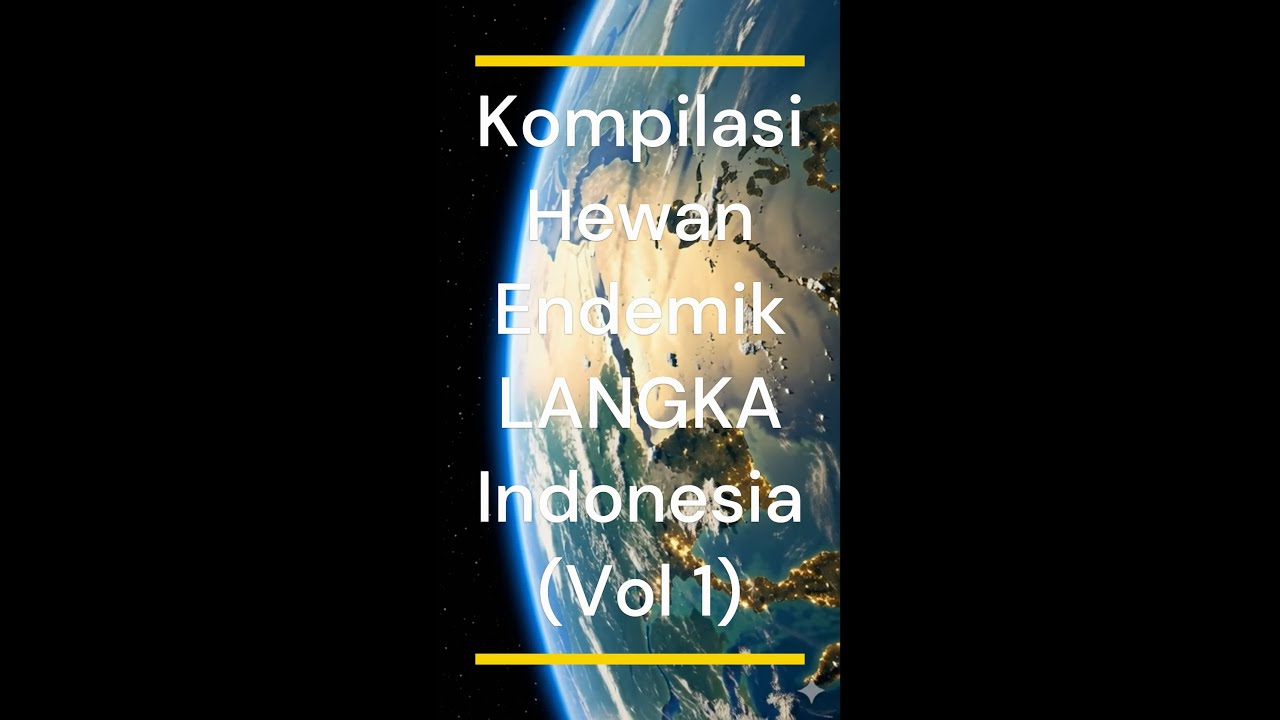 Kompilasi Hewan Endemik Langka Indonesia Volume 1 - Tebak Jadi Tahu