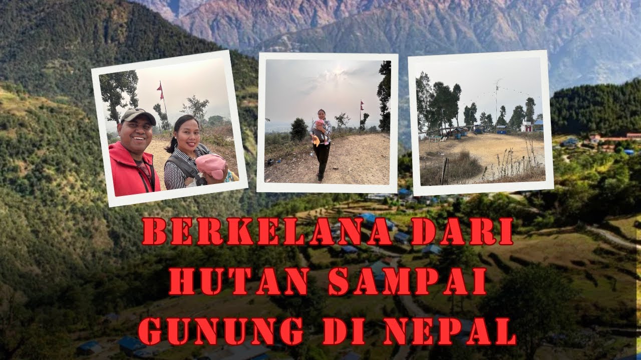 Petualangan Keluarga Indonesia di Hutan dan Gunung Di Nepal 🇮🇩🇳🇵||#adayinmylife  #minivlog 
