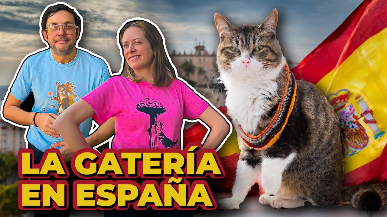EXPLORANDO “LA GATOTECA”: EL PRIMER CAT CAFÉ DE MADRID 😺 LA GATERÍA TV