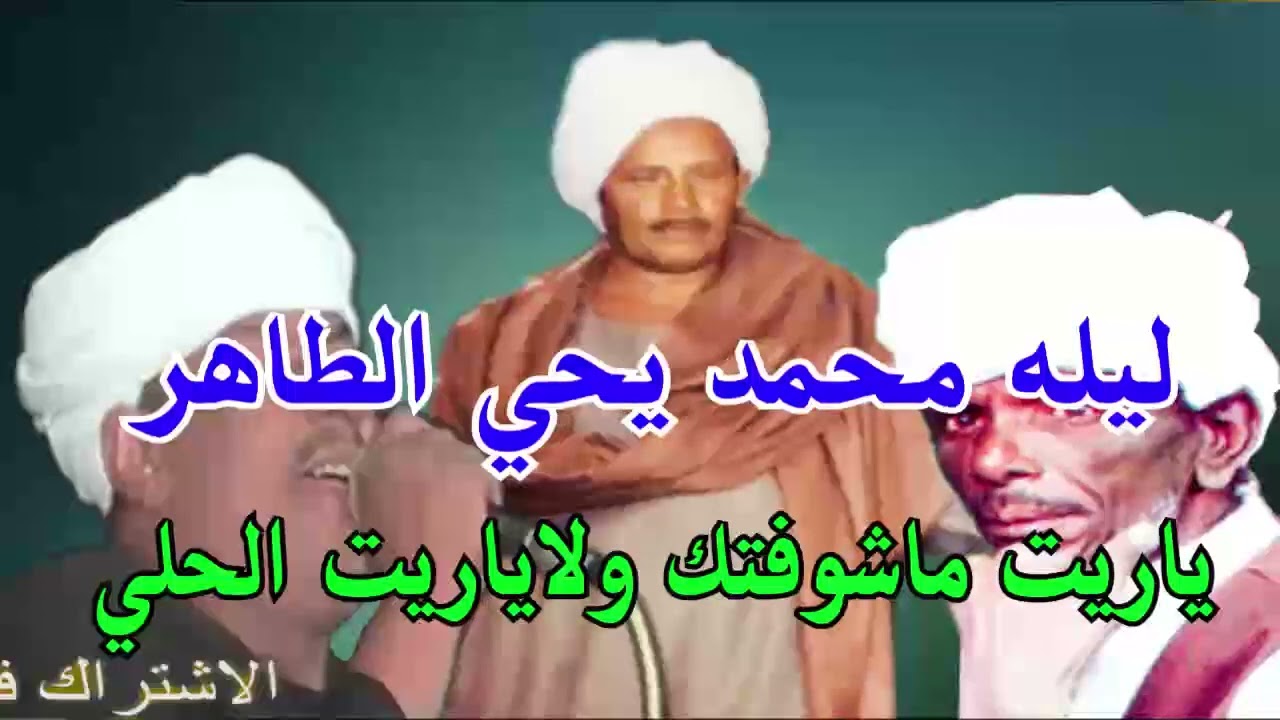 الجديد شديد ملوك الفن : رشاد عبدالعال || وابودرويش ( ياريت ماشوفتك  ) ليله محمد يحي الطاهر (الجزء 1)