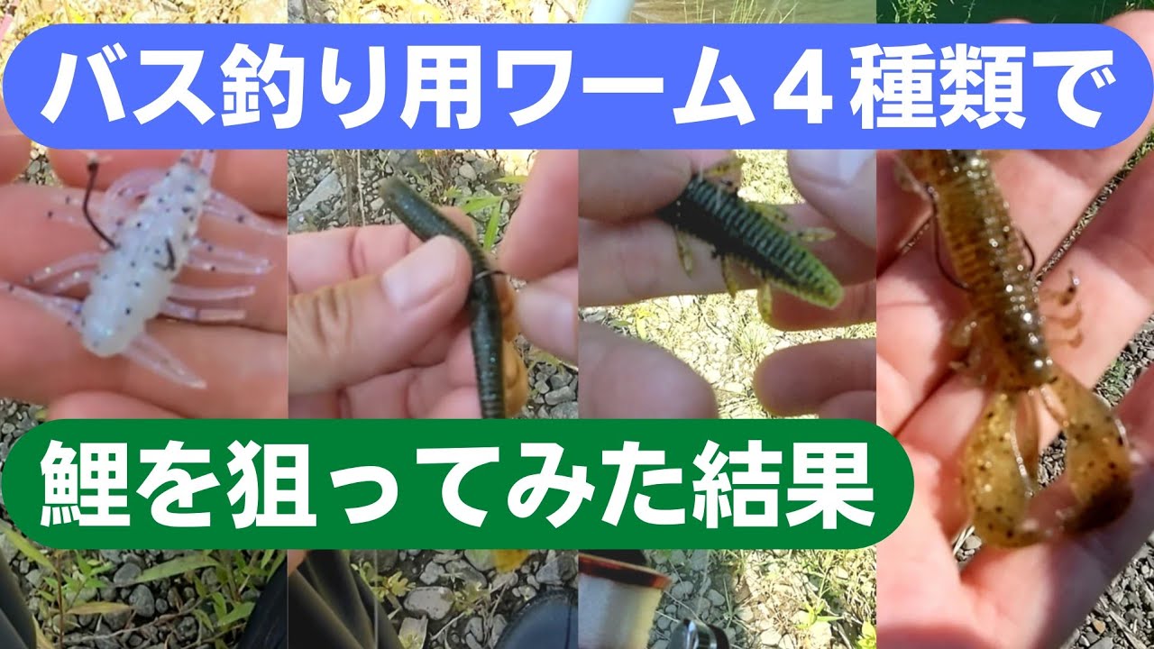 バス釣り用ワーム４種類を使って、ルアーの鯉釣りをやってみた結果・・