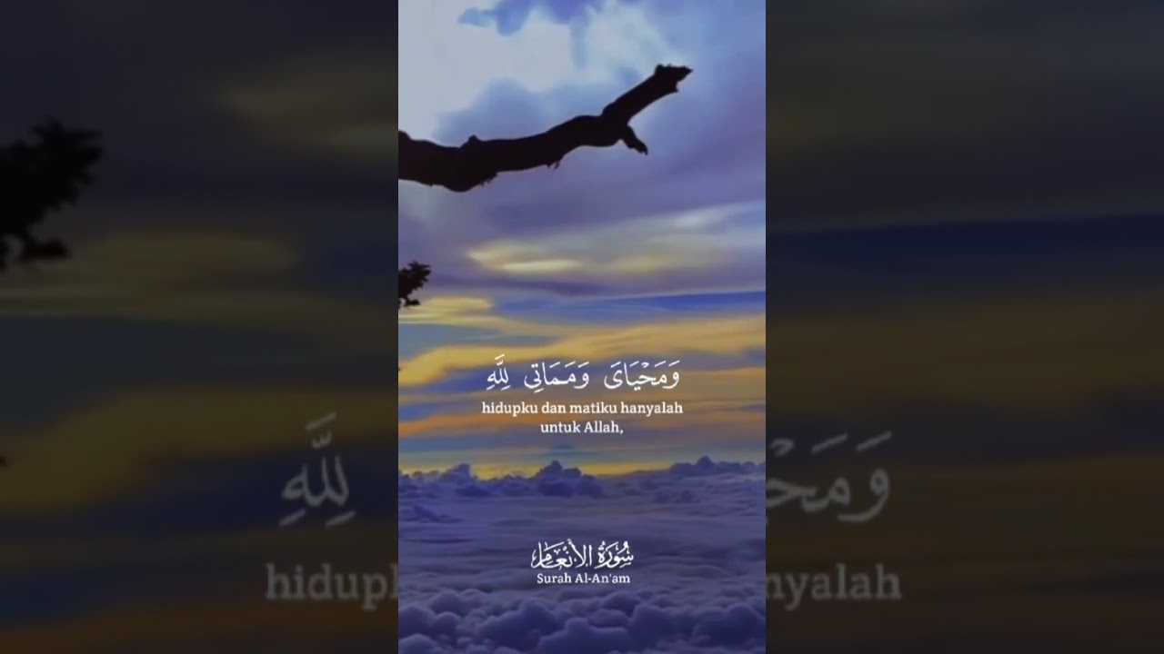Morattal mengaji merdu #alquran #sejutaquran #dzikir #dosa #quotes