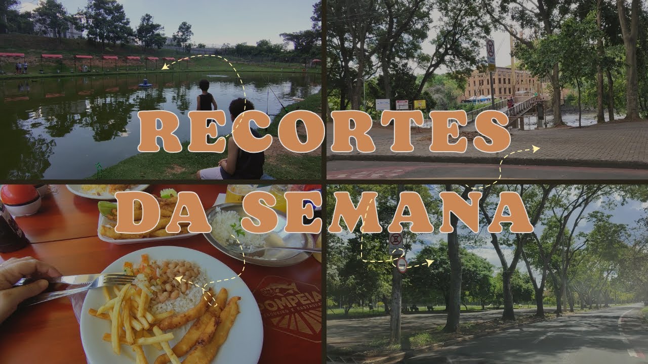 Recortes da semana