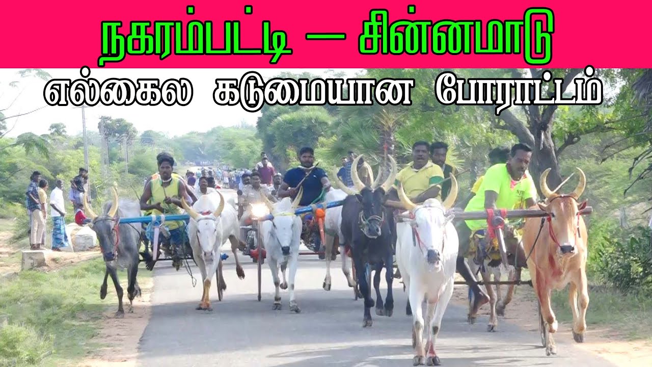 ETSS - Nagarampatti | Cinna maadu | 10-05-2023 | Rackla Race