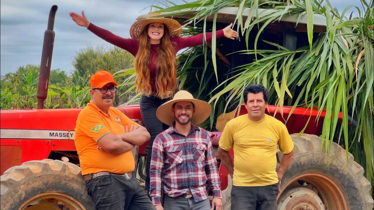 Lida na Roça/ Tirando Leite/ Buscando Capim no Trator/ Plantando CAPIM AÇU/ DICAS AGRO e Pecuária..