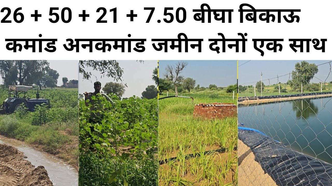 26 बीघा जमीन बिकाऊ एक ट्यूबवेल डिग्गी एक कमरा हाईवे से 3 किलोमीटर जिला बीकानेर तहसील लूणकरणसर 