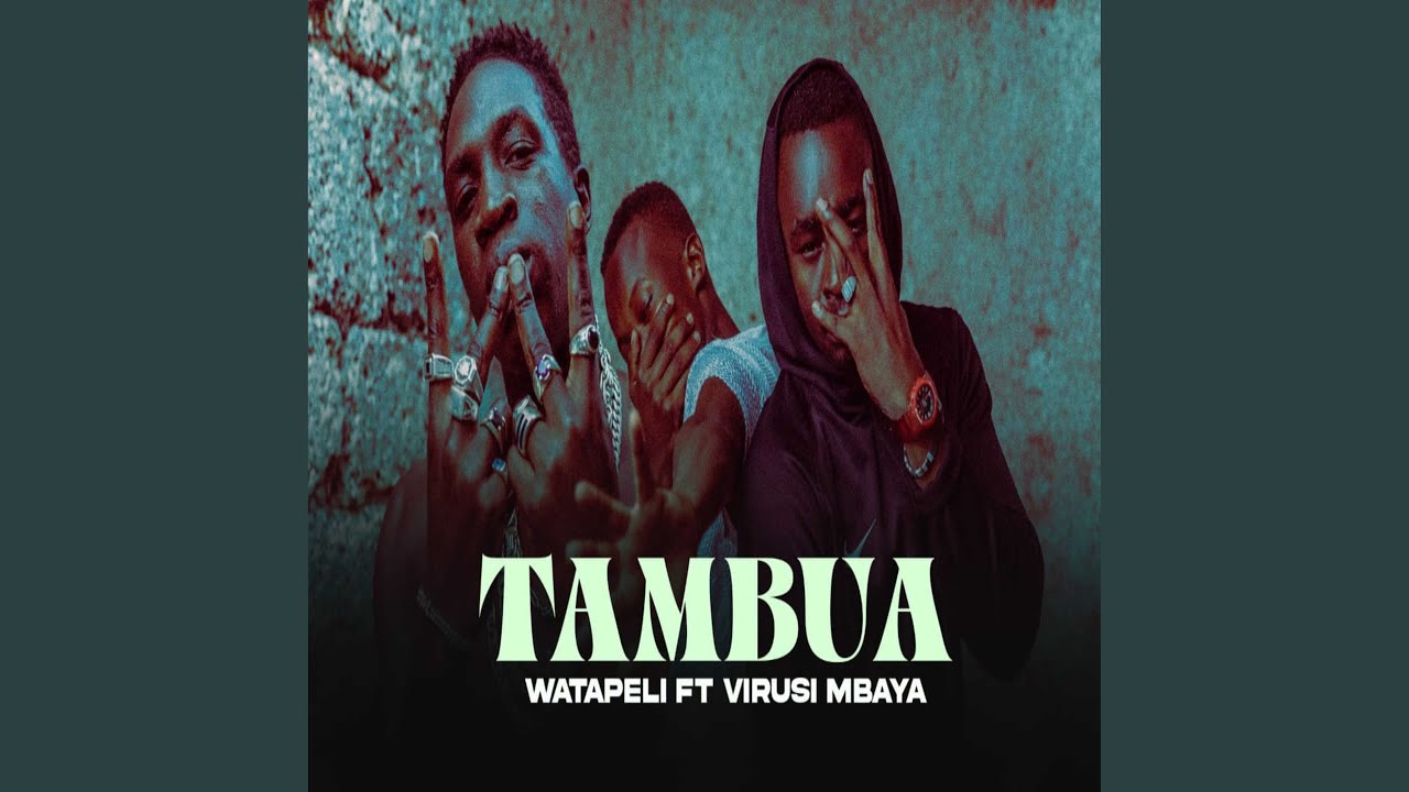 Tambua