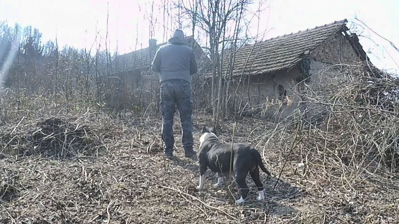 Radovi na Salašu - Krčimo imanje 3.deo