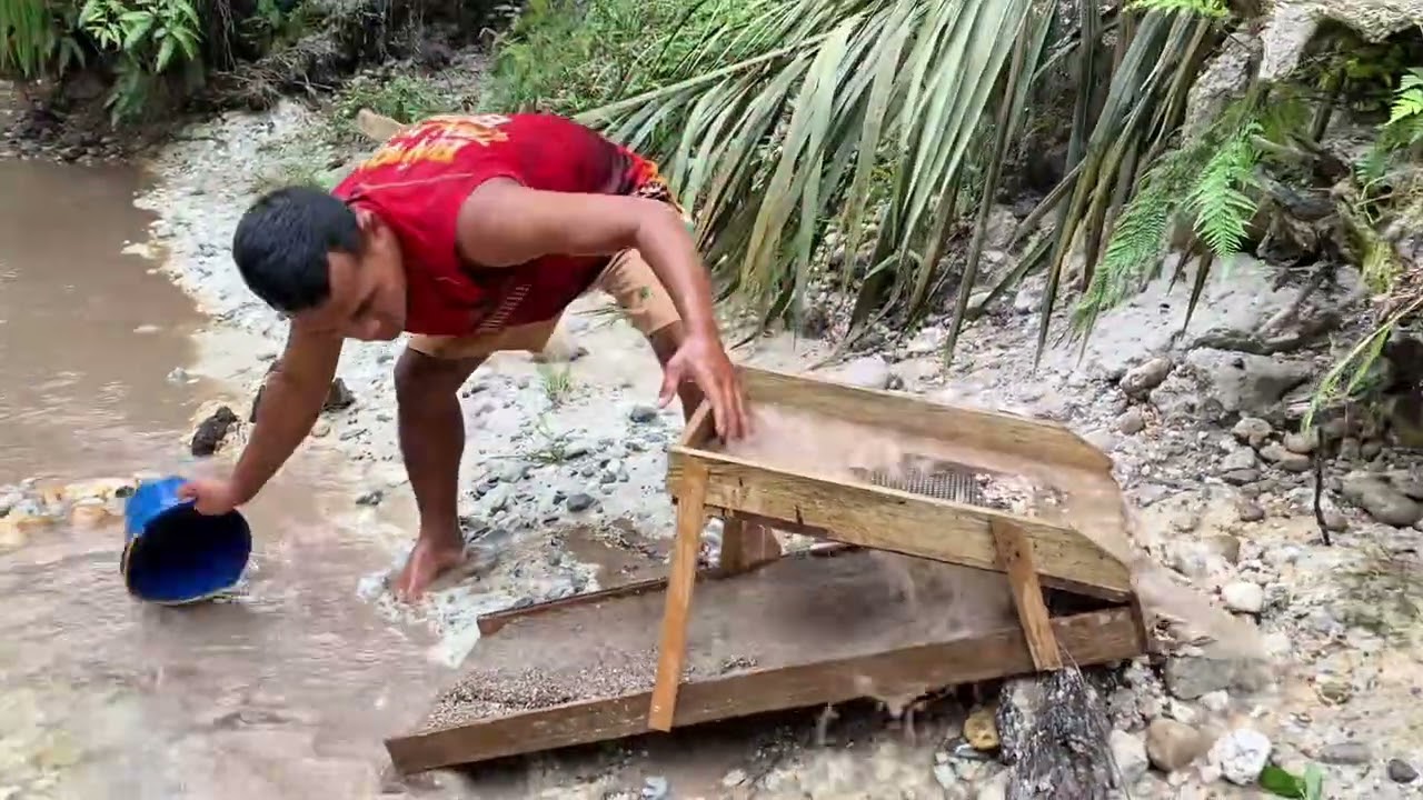 VIRAL ❗️❗️ MENCARI EMAS SENDIRIAN DI TENGAH HUTAN, PEMUDA INI MENEMUKAN HARTA KARUN !! 