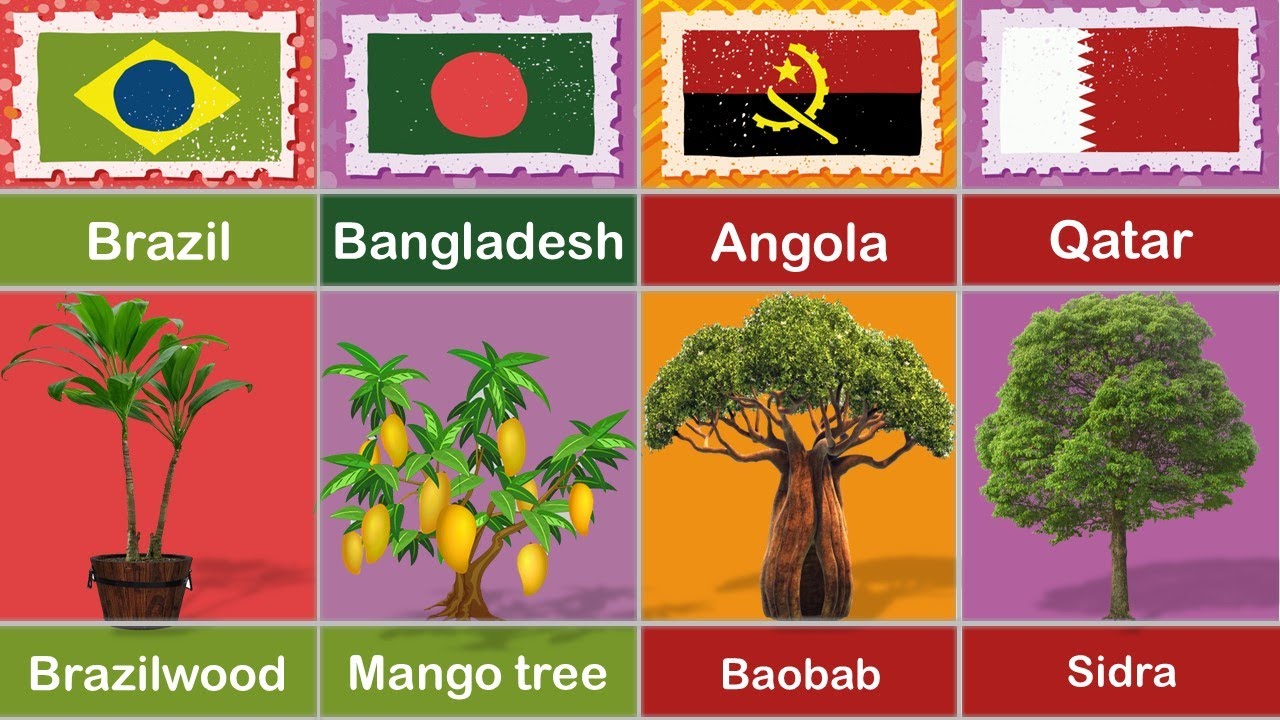 National Tree From Different Country | List of National Trees | National Symbols of Countries