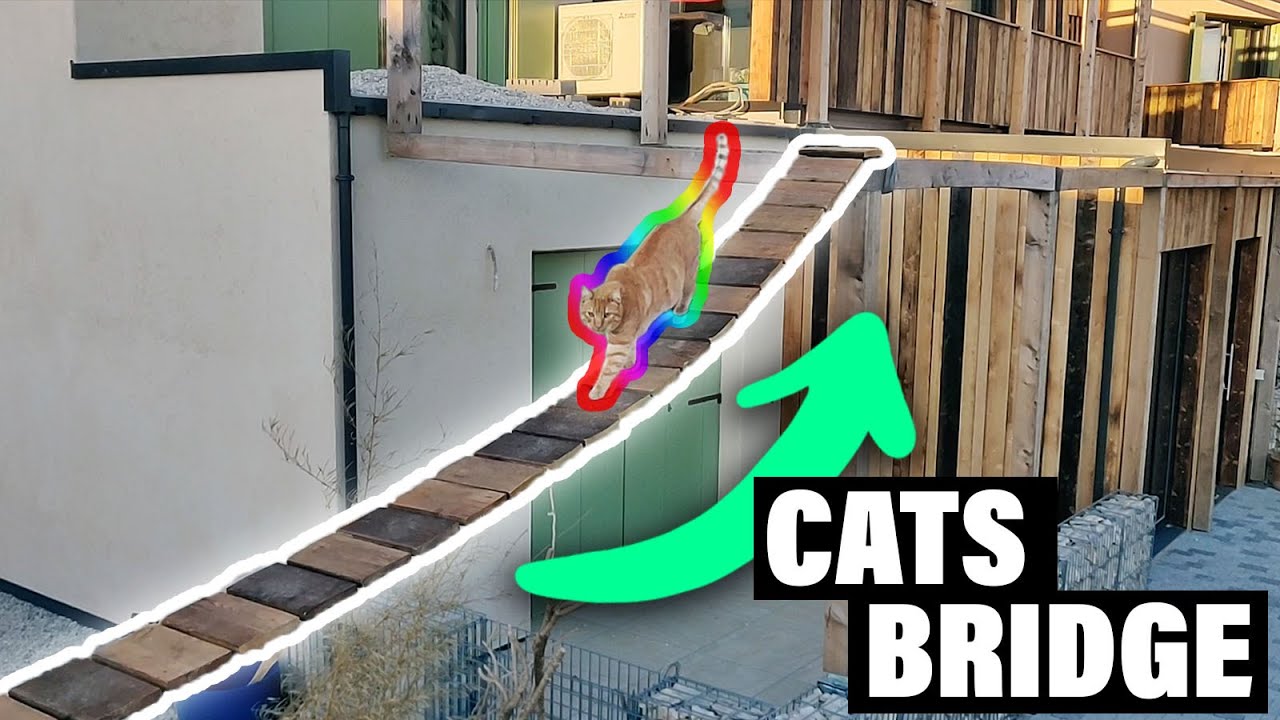 Un PONTE Tibetano per i miei GATTI