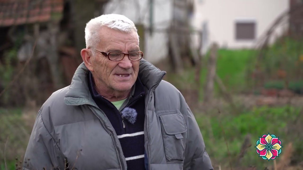 Da li je limun čempres sobna biljka? Kako se pravi bonsai od ligustruma? Upoznajte rasadnik 