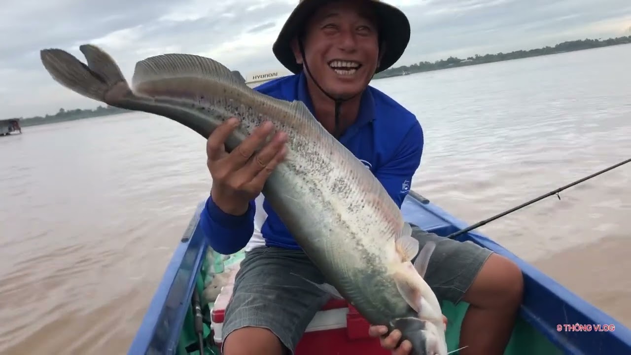 [CÂU CÁ] - CÁ LEO KHỦNG ĐỚP PHẢI MỒI NGON - VUI NHƯ ĐƯỢC MÙA