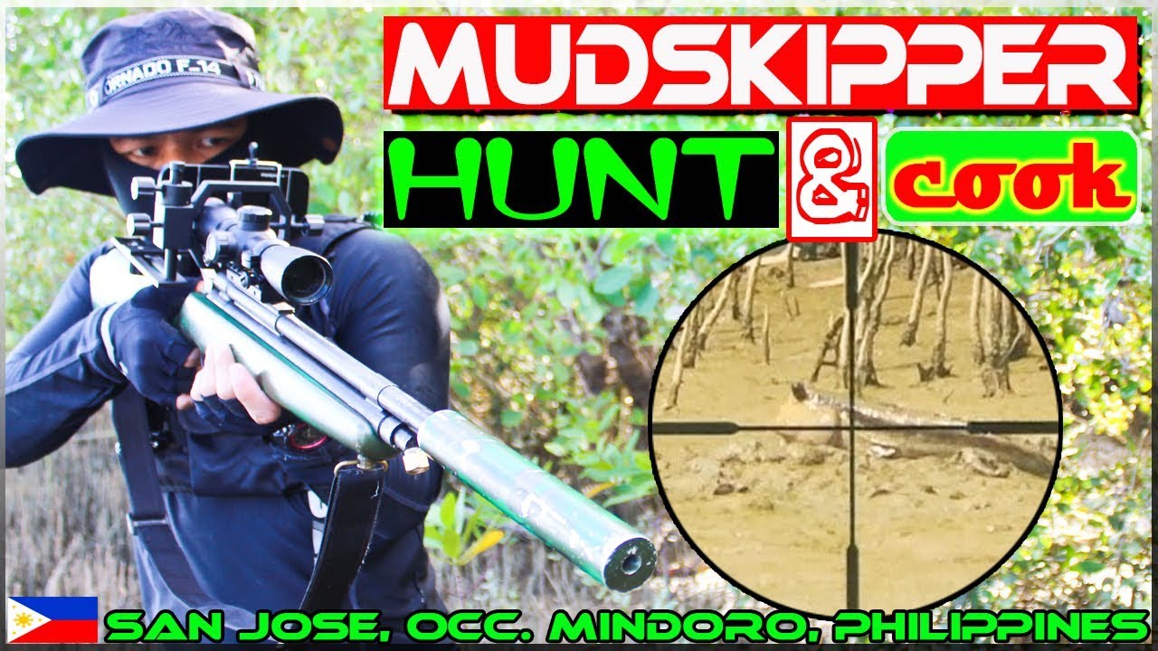 EP32 - Mudskipper (Tambasakan) Hunt and Cook using Air Rifle