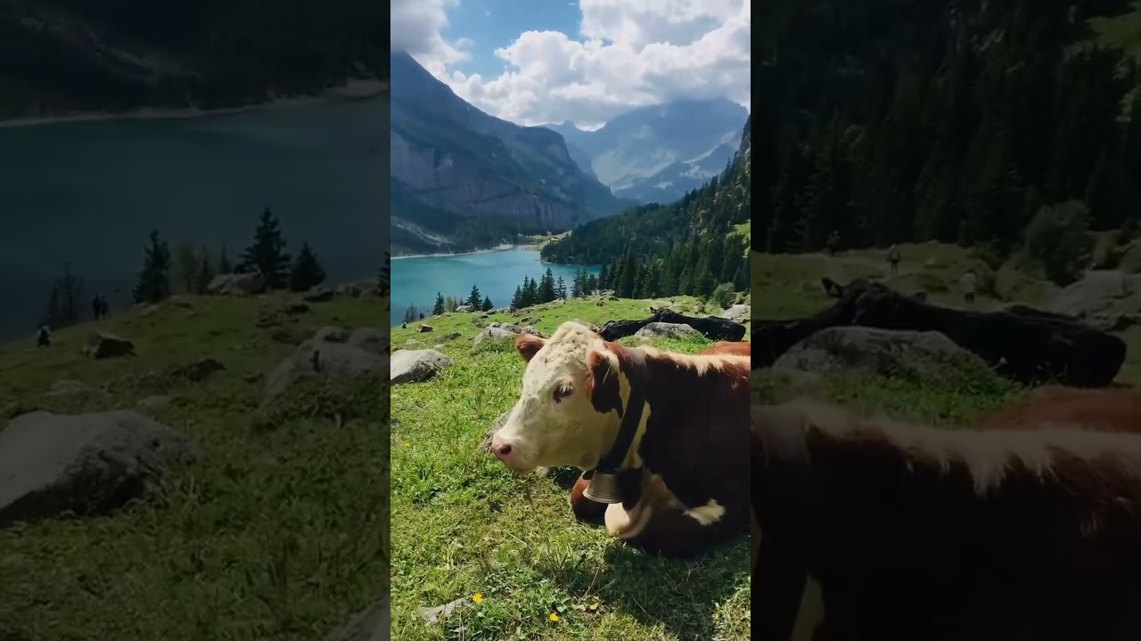 The country you MUST see before you die! 😍 