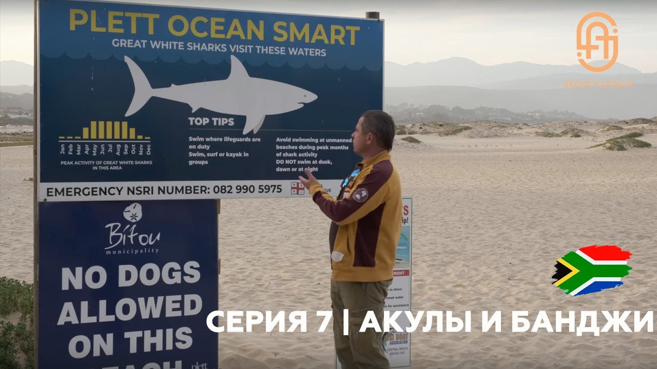 Серия 7 Акулы в Plettenberg Bay ЮАР | Самый высокий банджи
