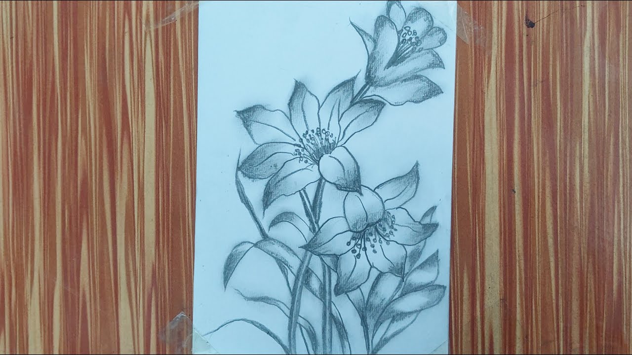 Beautiful Flower Pencil Sketch Drawing | Easy Realistic Flower Art Step by Step