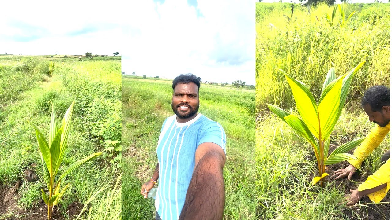 Planting Trees in Our Land 🌿 a small step for nature, a big change for tomorrow! 🌱