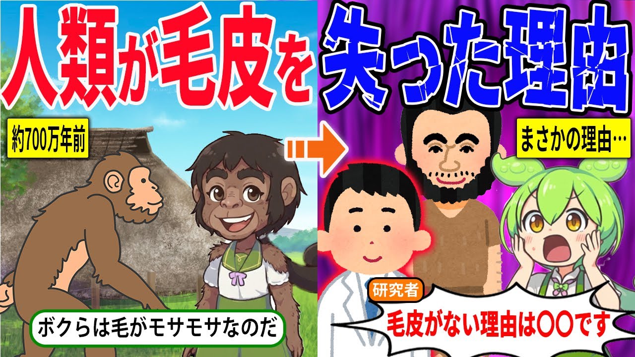 なぜ人類は毛皮を失ったのか？その理由とは？【ずんだもん＆ゆっくり解説】