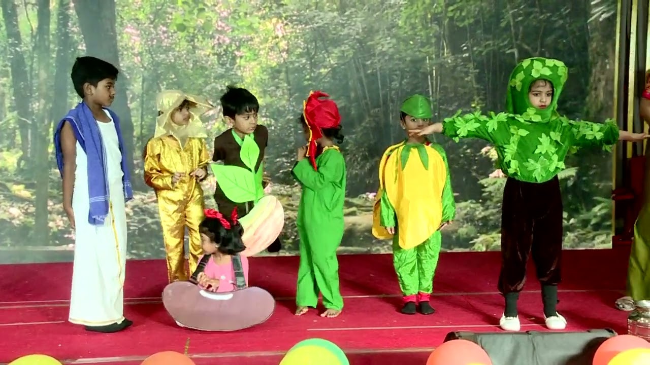 Senior kg skit on germination and harmful effects of deforestation| Kindergarten skit