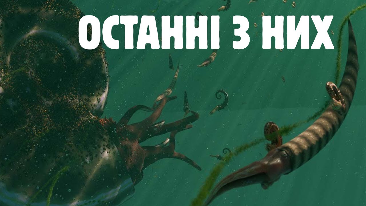 Амоніти не вимерли в мезозої: виживання після падіння астероїду