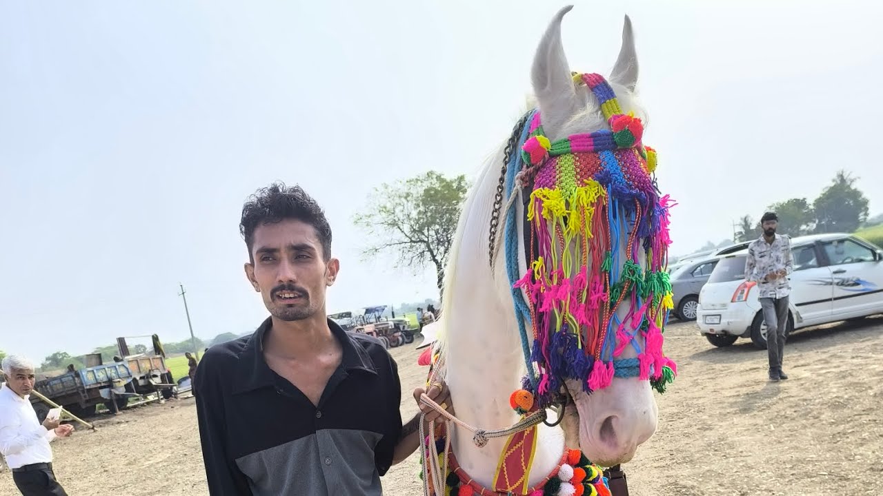 Dhodi ka saman Kiya or fuleka ke liye lekr gye #viralvideo #viralvideo 