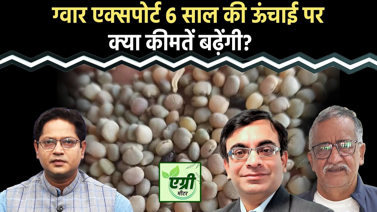 Commodity Market : Guarseed, Guargum में क्या बनाएं रणनीति? Trading | Vipul Singh