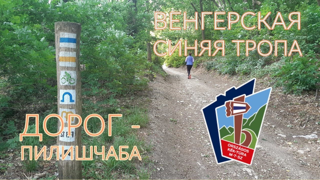 Национальная Синяя тропа (Венгрия). Дорог - Пилишчаба. Пеший поход.